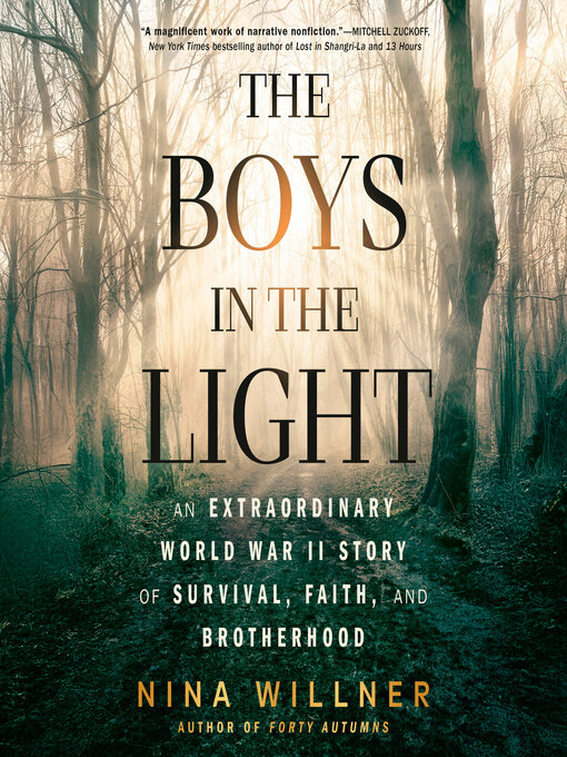 Title details for The Boys in the Light by Nina Willner - Wait list